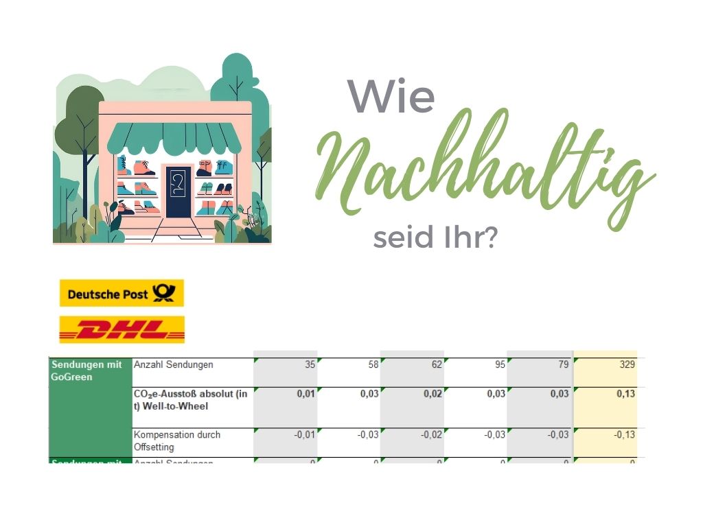 Auszug aus dem CO2Report von DHL für Schuh Hölscher